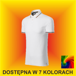 Koszulka PERFECTION PLAIN 251 Męska 200G